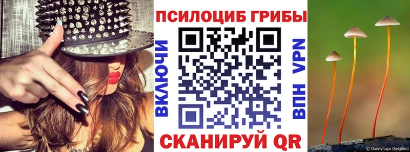 Галлюциногенные грибы Cubensis  наркотики  Александров 