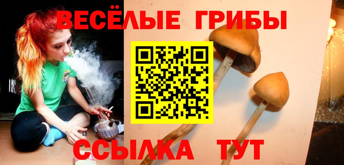 Галлюциногенные грибы ЛСД Александров
