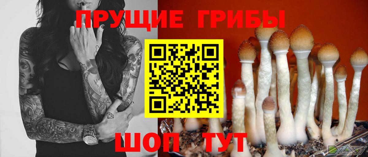 Галлюциногенные грибы мицелий  Вход с VPN  Александров 